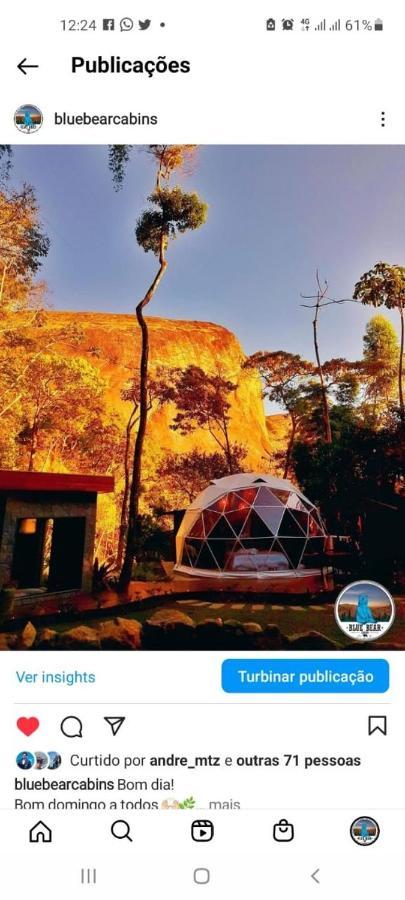 Blue Bear Cabins Villa Petrópolis Eksteriør billede